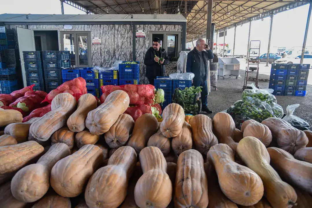 Antalya Hali 64 Ülkeyi Besliyor 3